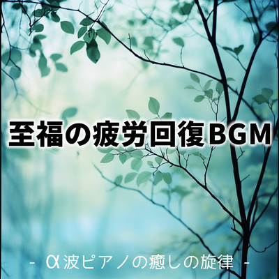 アルバム/至福の疲労回復BGM - α波ピアノの癒しの旋律 -/SLEEPY NUTS