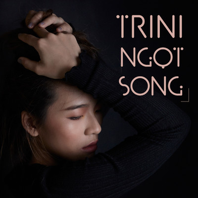 Ngot Song (ndt Remix)/Trini