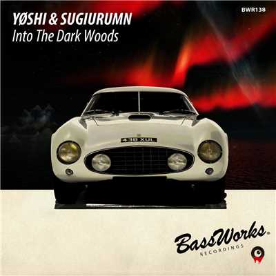 シングル/Into The Dark Woods/YOSHI & SUGIURUMN