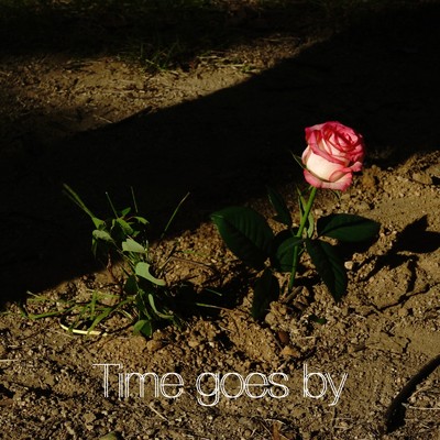 シングル/Time goes by/DOLO