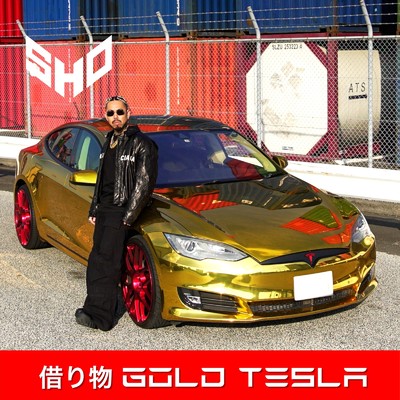 シングル/借り物 GOLD Tesla/SHO