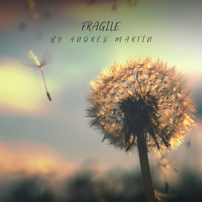 シングル/Fragile/Andres Martin
