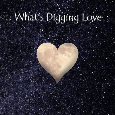 アルバム/What's Digging Love/Cute Cat Club Orchestra
