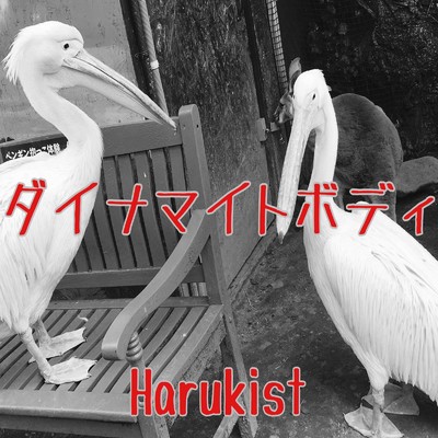 アルバム/ダイナマイトボディ/Harukist