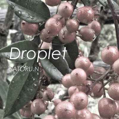Droplet/SATORU.N
