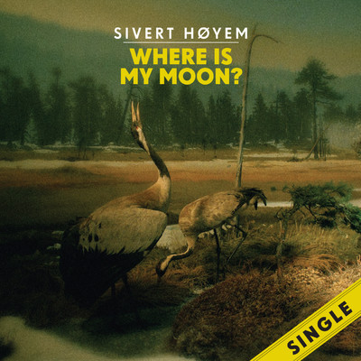 シングル/Where Is My Moon？/Sivert Hoyem