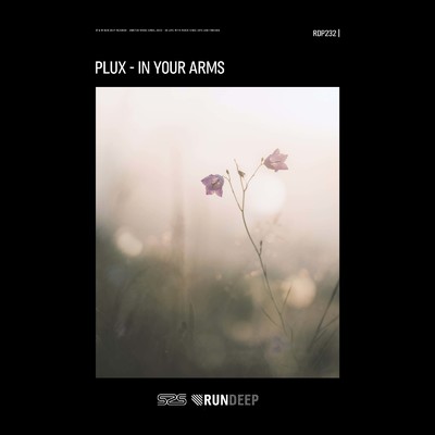 In Your Arms/PluX