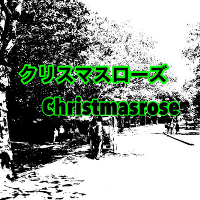 クリスマスローズ/塚本あつし