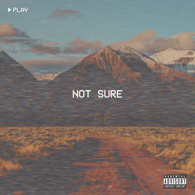 シングル/Not Sure (feat. ROOK)/Trey Royal