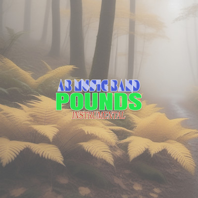 Pounds (Instrumental)/AB Music Band