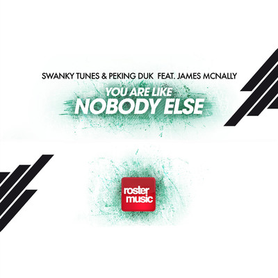 シングル/You Are Like Nobody Else (feat. James McNally)/Swanky Tunes／Peking Duk