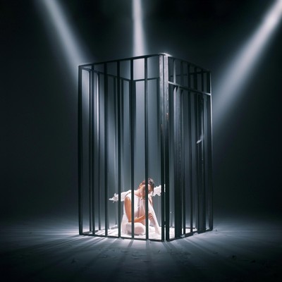 Bird in a Cage/Chiara King