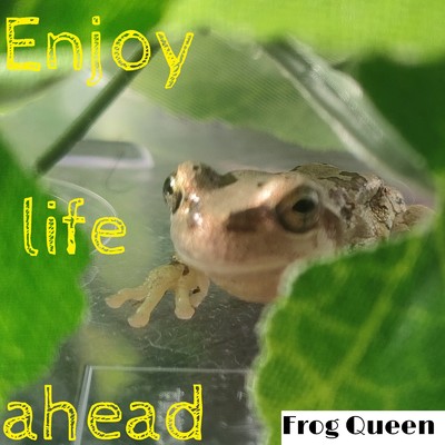Enjoy life ahead/Frog Queen
