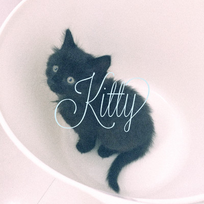 Kitty/Fuhua