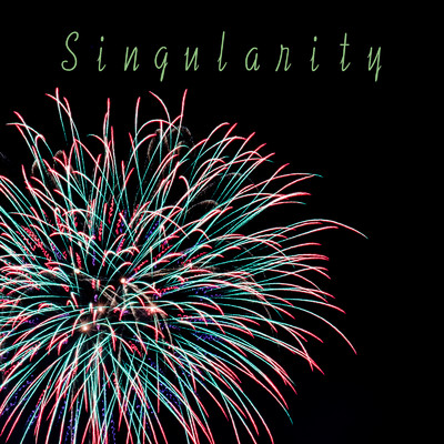 Singularity/hallucination