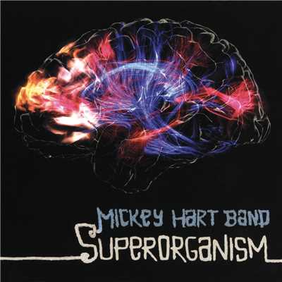Superorganism/Mickey Hart Band