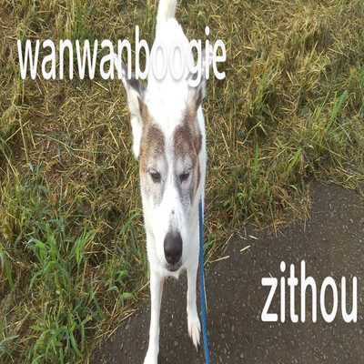 wanwanboogie/zithou