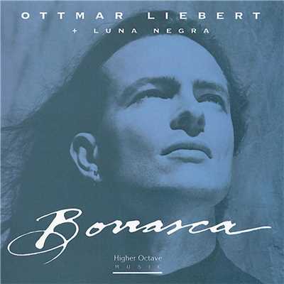 The Storm Sings/Ottmar Liebert