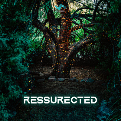 Ressurected/NS Records