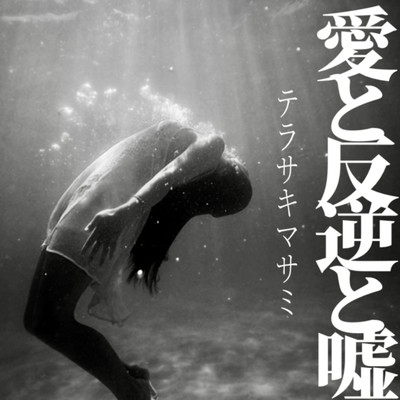 アルバム/愛と反逆と嘘/テラサキマサミ