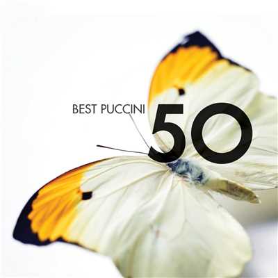 アルバム/50 Best Puccini/Various Artists
