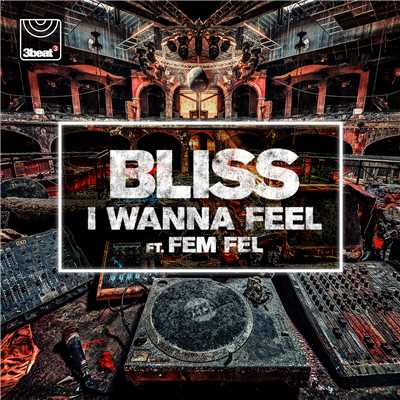 シングル/I Wanna Feel (featuring Fem Fel)/BLISS