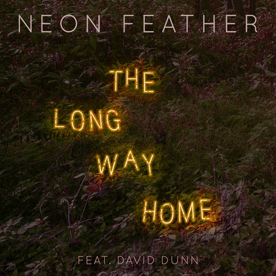 The Long Way Home (feat. David Dunn)/Neon Feather