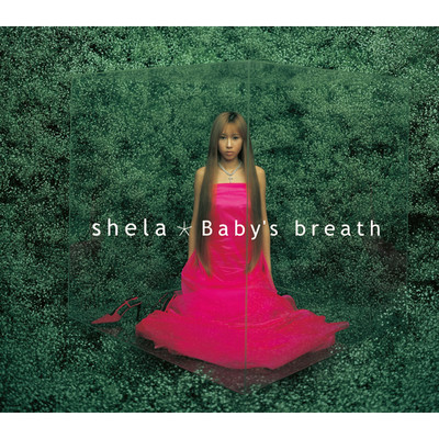 アルバム/Baby's breath/shela