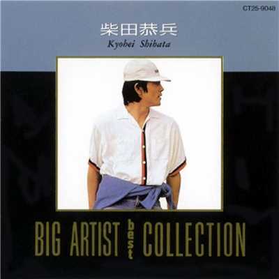 アルバム/Big Artist Best Collection／柴田恭平/柴田恭兵