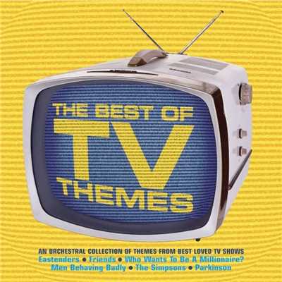 Best Of TV Themes/The New World Orchestra