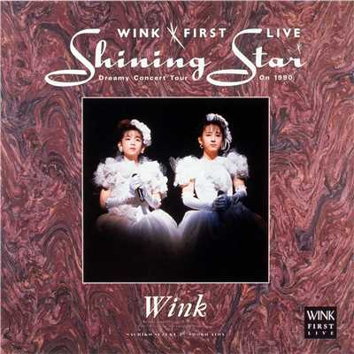 WINK FIRST LIVE Shining Star - Dreamy Concert Tour On 1990 -/Wink