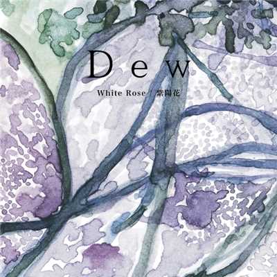 White Rose／紫陽花/Dew