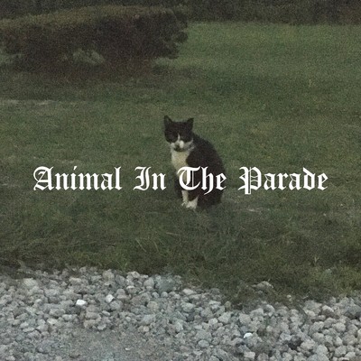 シングル/Animal In The Parade/Stroll