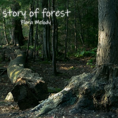 アルバム/story of forest/Flora Melody