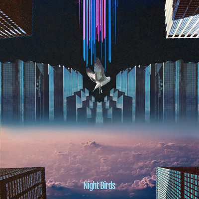 シングル/Night Birds (feat. Froya & 宮脇翔平)/Tokimeki Records