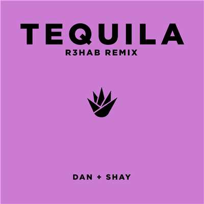 Tequila (R3HAB Remix)/Dan + Shay