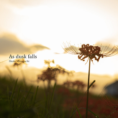 シングル/As dusk falls/Shota Mizuguchi