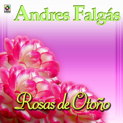 Rosas De Otono/Andres Falgas