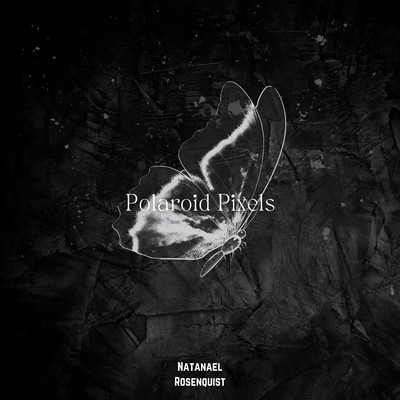 Polaroid Pixels/Natanael Rosenquist