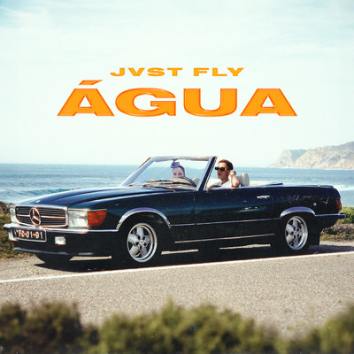 Agua/Jvst Fly