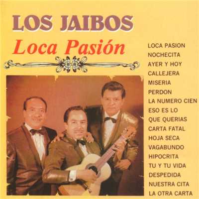 Perdon/Los Jaibos
