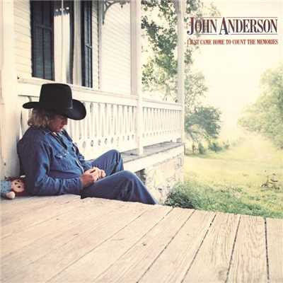 Don't Think Twice, It's Alright/JOHN ANDERSON