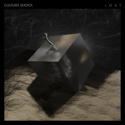 Lost/Culture Shock