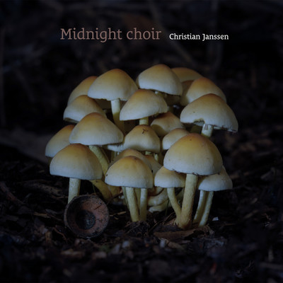 Midnight choir/Christian Janssen