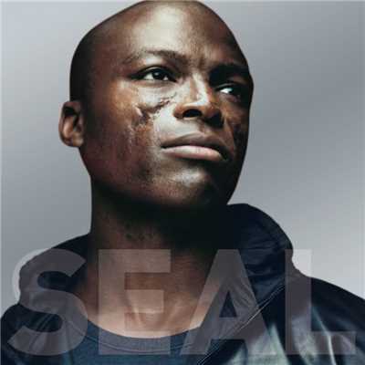 About ”Waiting for You” (Interview Track)/Seal