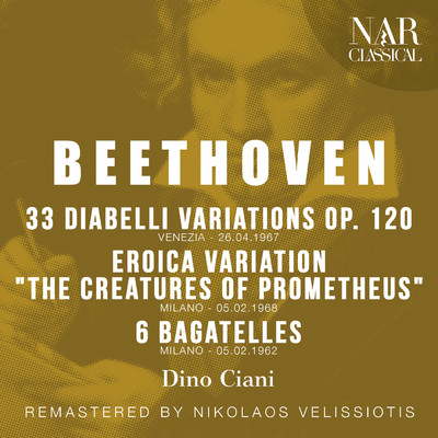 Diabelli Variations in C Major, Op. 120, ILB 320: XIV. Variation 13. Vivace/Dino Ciani