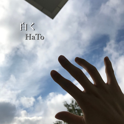 シングル/君を忘れない(Instrumental Ver.)/HaTo