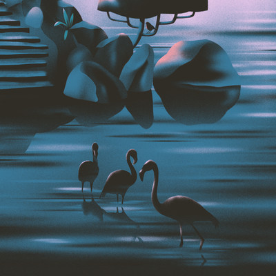 Midnight Swim/Ornithology