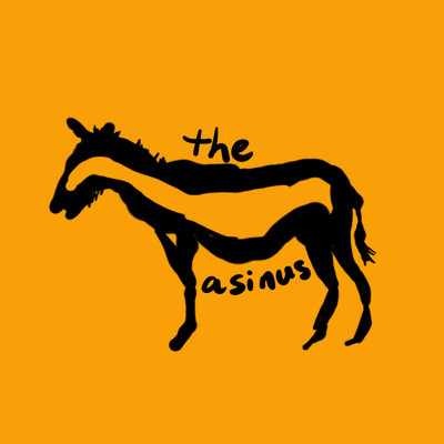the asinus