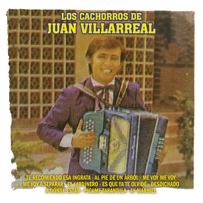 アルバム/Te Recomiendo Esa Ingrata/Los Cachorros De Juan Villarreal